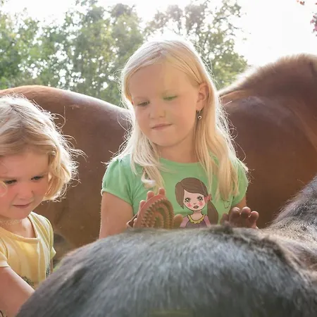 Farm stay Spreitzhofer Sankt Kathrein am Offenegg
