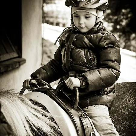 Feriegård Spreitzhofer Sankt Kathrein am Offenegg