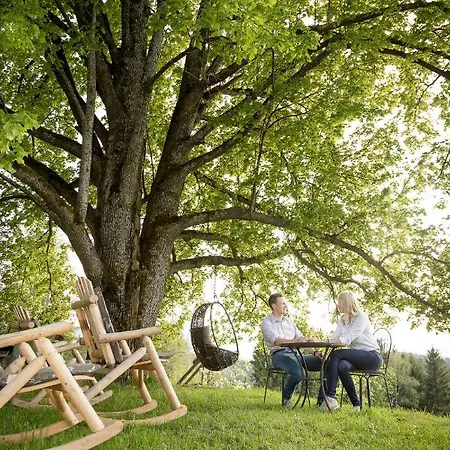 Spreitzhofer 4* Sankt Kathrein am Offenegg