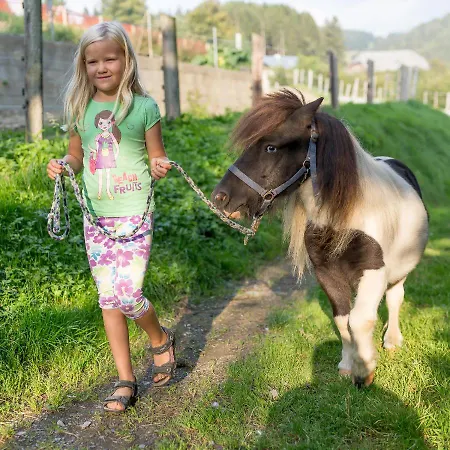 Spreitzhofer Farm stay Sankt Kathrein am Offenegg
