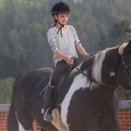 Spreitzhofer 4*