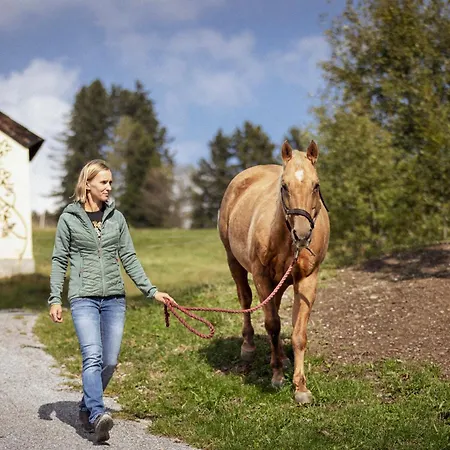Feriegård Spreitzhofer Sankt Kathrein am Offenegg