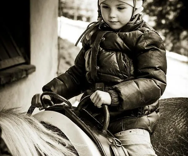 팜스테이 Spreitzhofer 셍트카트라인엠오프네그