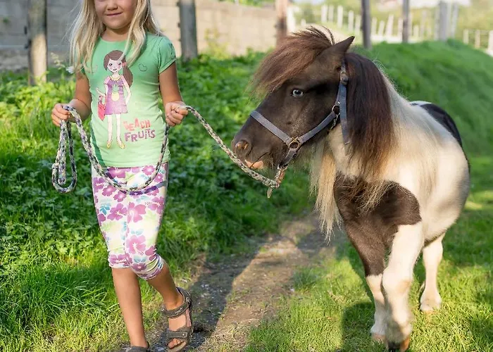 Spreitzhofer Farmház Sankt Kathrein am Offenegg