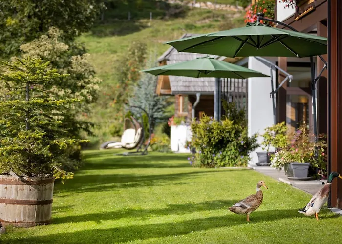 Bauernhof Spreitzhofer 4*