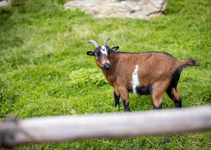 Spreitzhofer Farmház