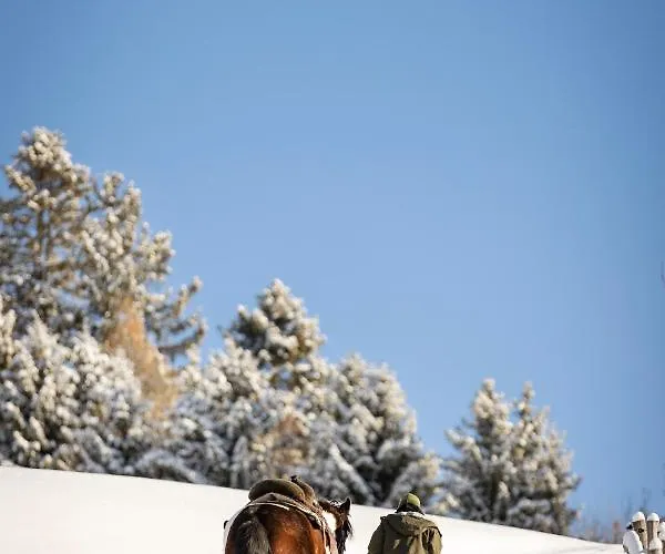 팜스테이 Spreitzhofer