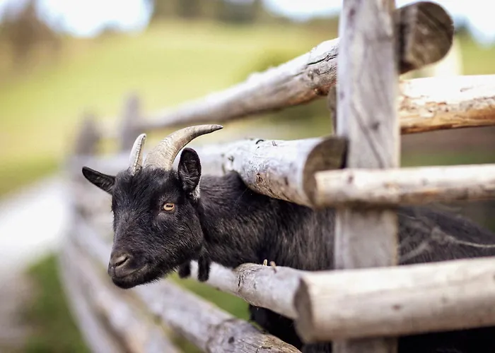 Spreitzhofer Farmház