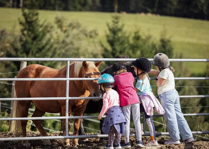 Spreitzhofer 4* Sankt Kathrein am Offenegg